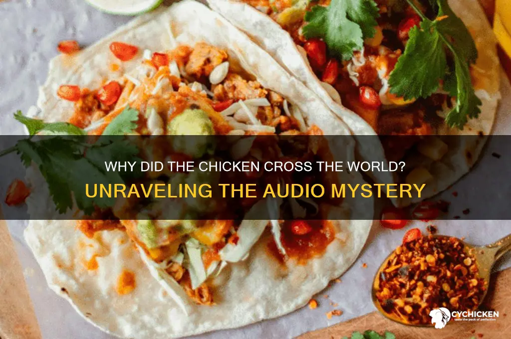 why did the chicken cross the world audio