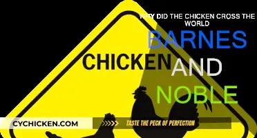 Chicken's Journey: Barnes & Noble's Worldly Adventure