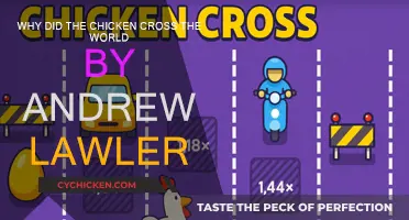 Exploring Chicken's Journey: Crossing the World