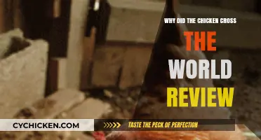 Why Did the Chicken Cross the World? A Hilarious Review