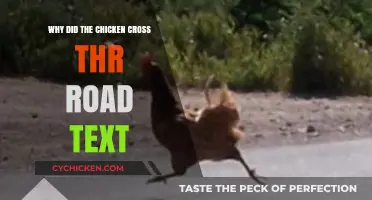 Why Did the Chicken Cross the Road? Unraveling the Classic Text Joke