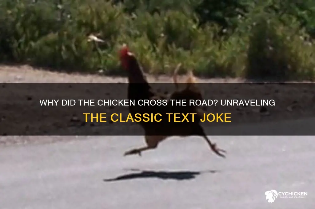 why did the chicken cross thr road text