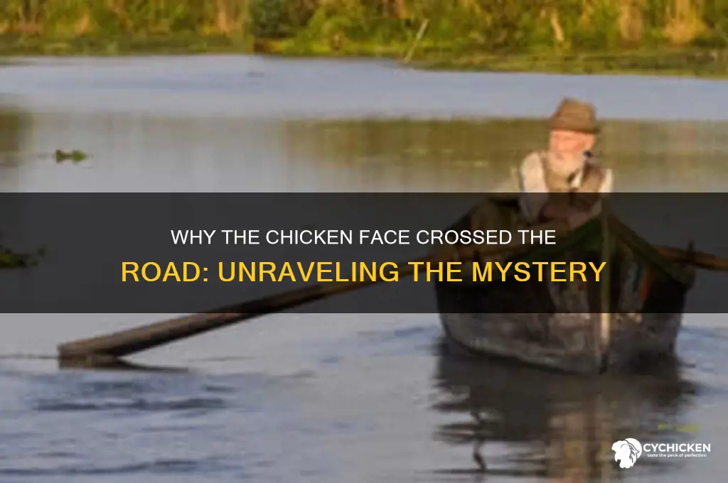 why did the chicken face cross the road
