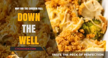 Why the Chicken Fell Down the Well: Unraveling the Mystery