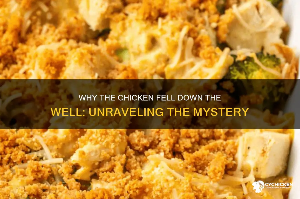 why did the chicken fall down the well