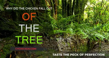 How Chickens Fall from Trees: An Unexpected Journey