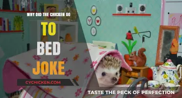 Why Did the Chicken Go to Bed? Unraveling the Hilarious Joke