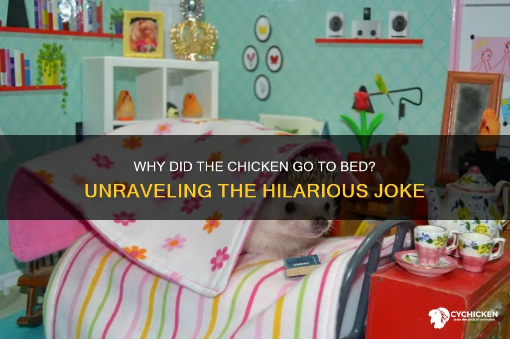 why did the chicken go to bed joke