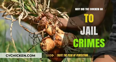 Why the Chicken Faced the Cluck-house: Poultry Crimes Explained