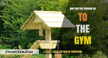 Why Chickens Hit the Gym: Uncovering the Surprising Fitness Trend