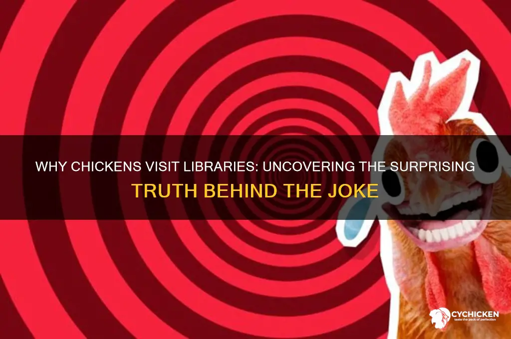 why did the chicken go to the library