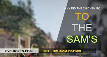 Sam's Chicken Adventure: A Mystery Explained