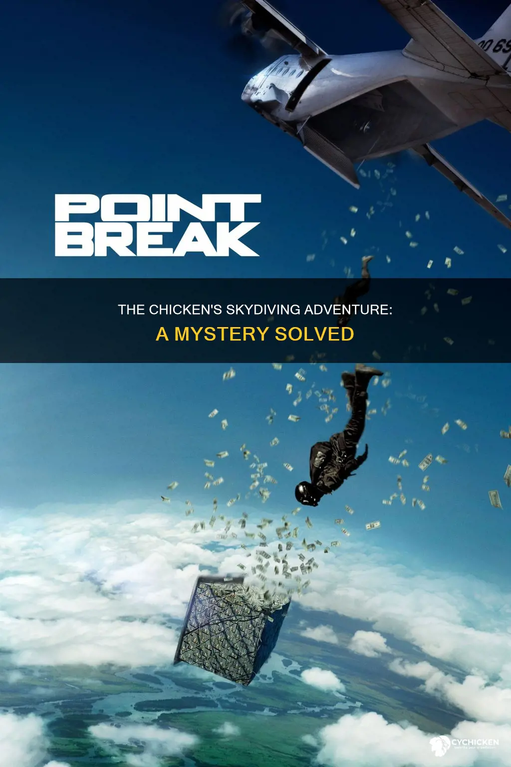 why did the chicken jump out of the plane