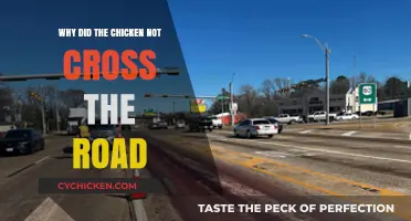 Why Chickens Avoid Roads: Uncovering the Mystery Behind Their Hesitation