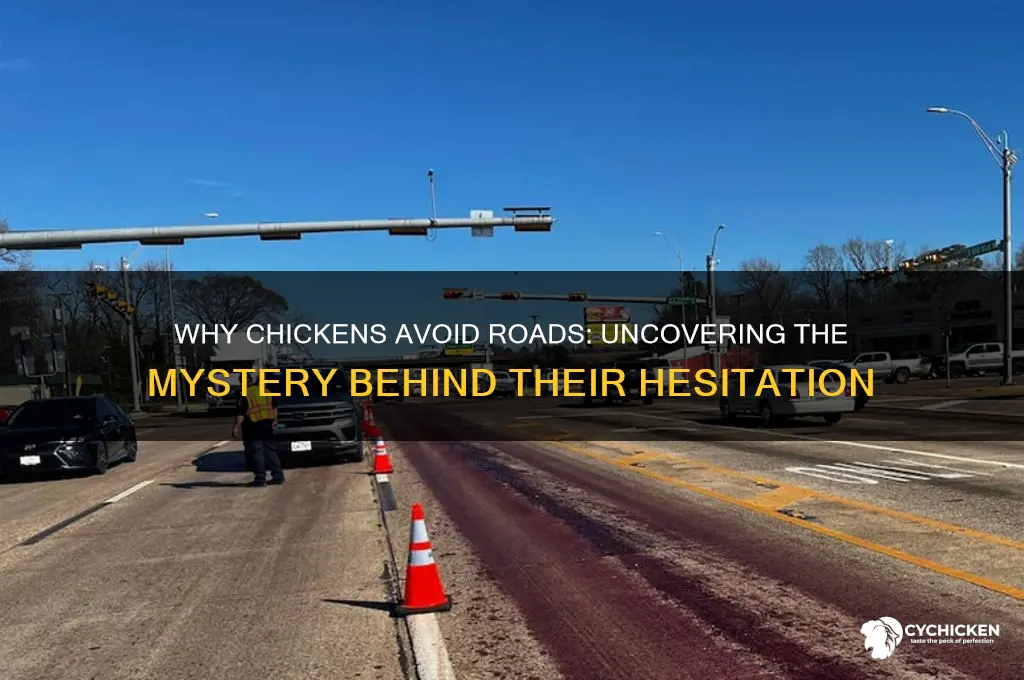 why did the chicken not cross the road