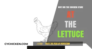 Why Chickens Stare at Lettuce: Unraveling the Curious Behavior