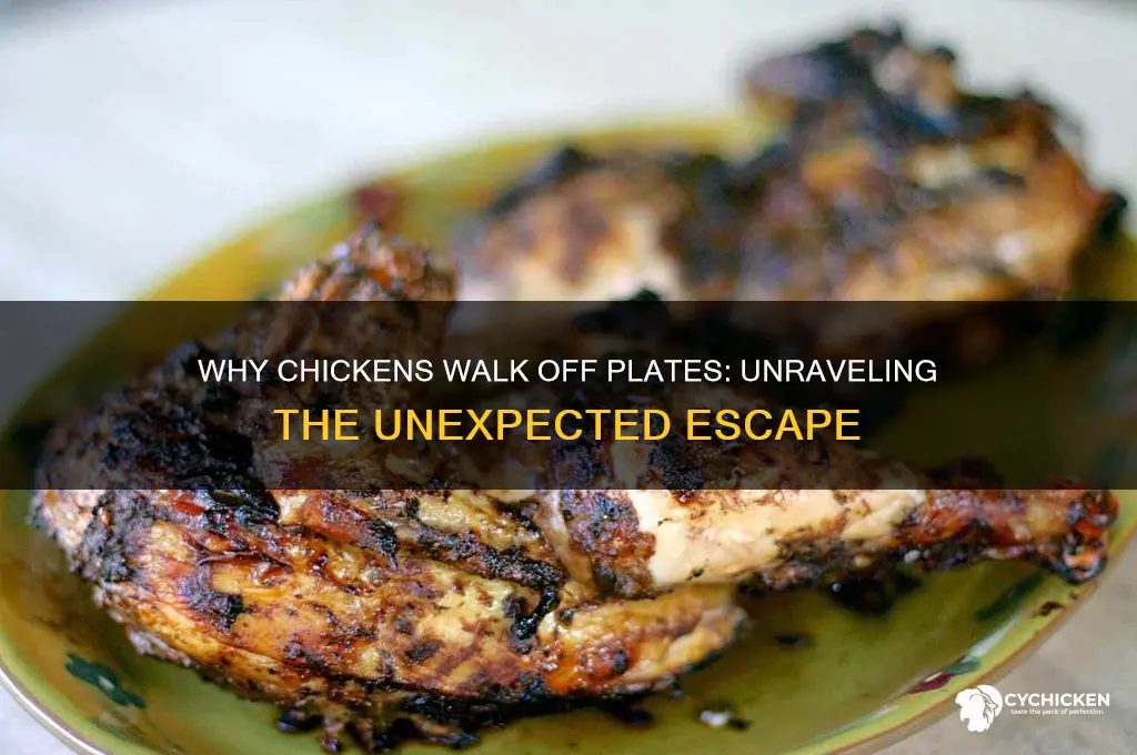 why did the chicken walk off the plate