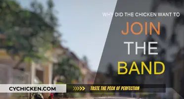 The Chicken's Musical Ambition: Why Join the Band?