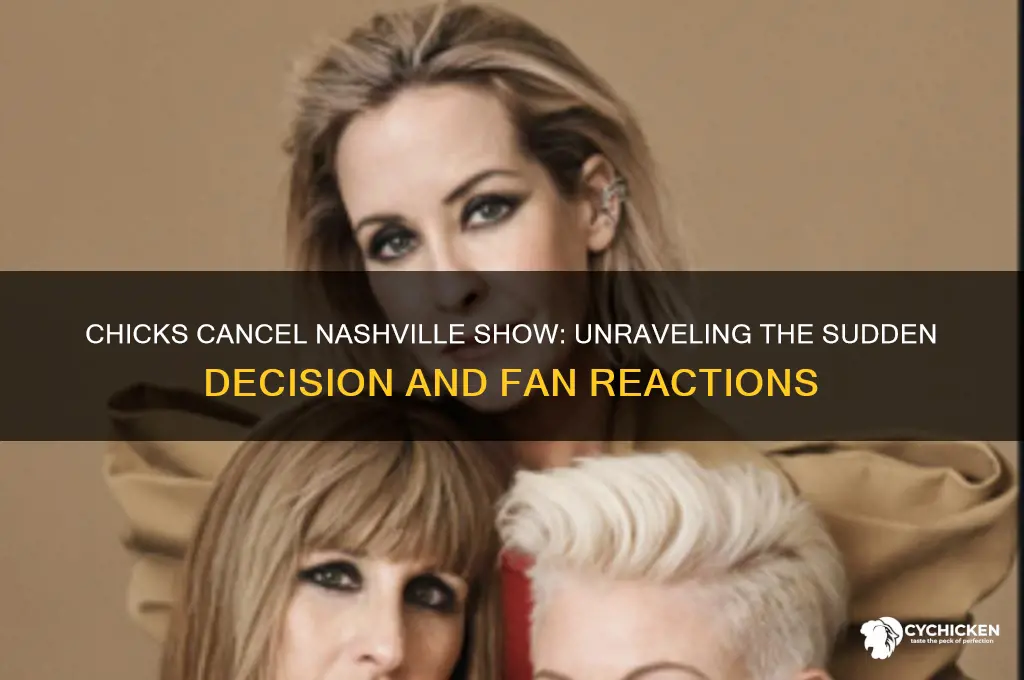 why did the chicks cancel their nashville show