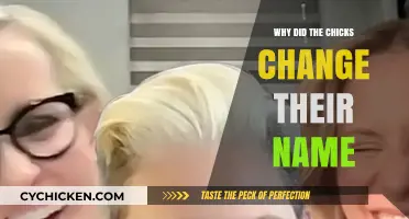 Why The Chicks Rebranded: Unraveling the Name Change Mystery