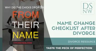 The Chicks' Name Change: A Story of Social Awareness