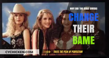 Why the Dixie Chicks Rebranded: Unraveling the Name Change Decision