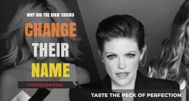 Why the Dixie Chicks Became the Chicks: Unraveling the Name Change