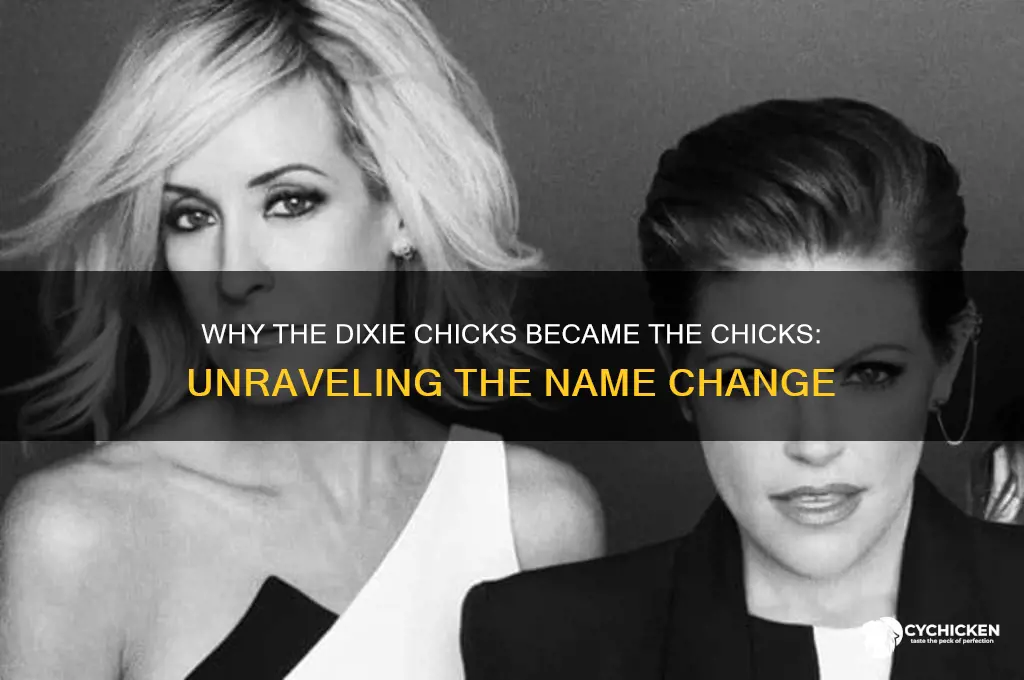 why did the dixie chicks change their name