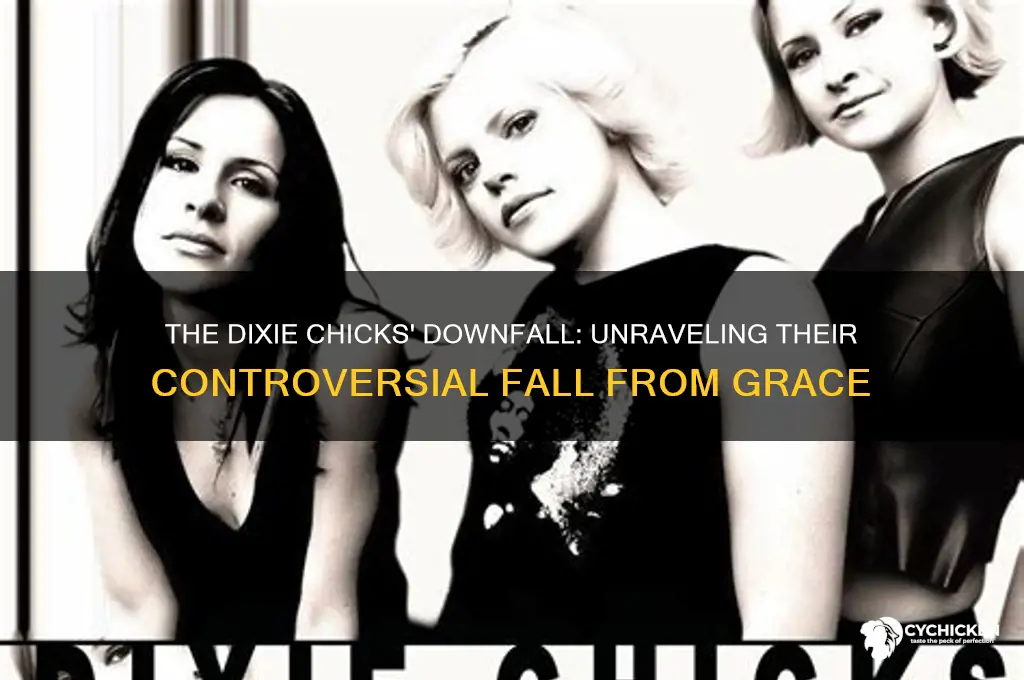why did the dixie chicks fall from grace