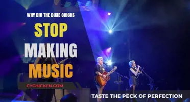 Why the Dixie Chicks' Music Career Came to a Halt