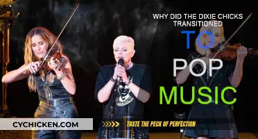The Dixie Chicks' Evolution: From Country to Pop