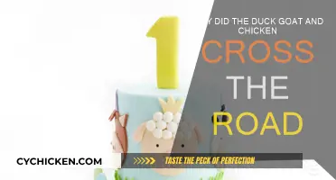 Fowl Play: Why Did They Cross?