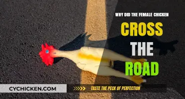 Why Did the Hen Cross the Road? Unraveling the Mystery
