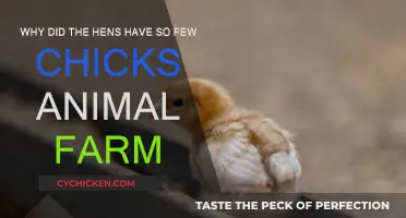 Hens' Chickens: A Tale of Woe on Animal Farm