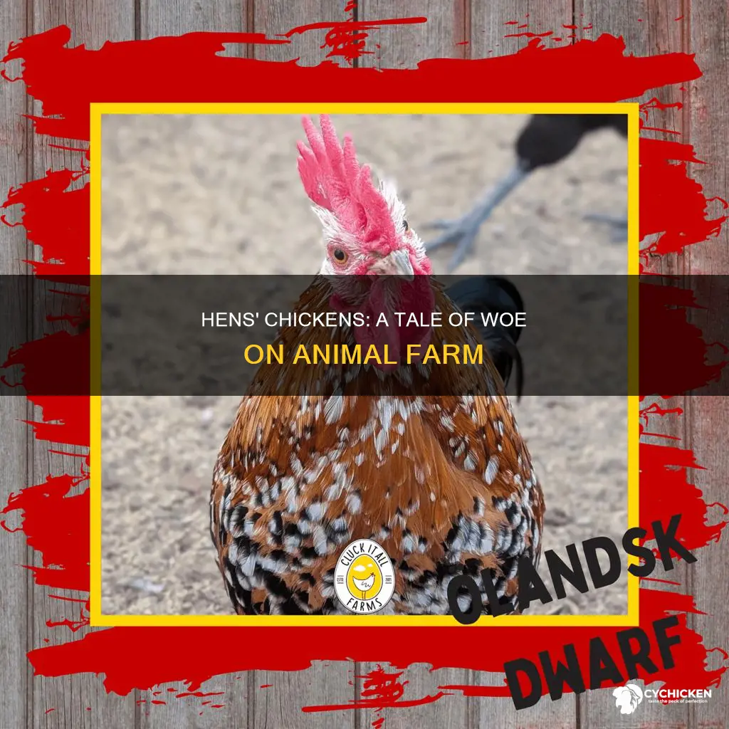 why did the hens have so few chicks animal farm