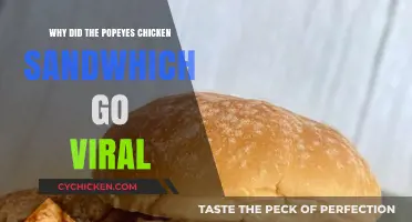 Popeyes Chicken Sandwich Craze: How a Fast-Food Item Went Viral
