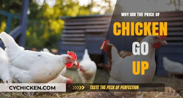 Why Chicken Prices Are Soaring: Causes and Consumer Impact