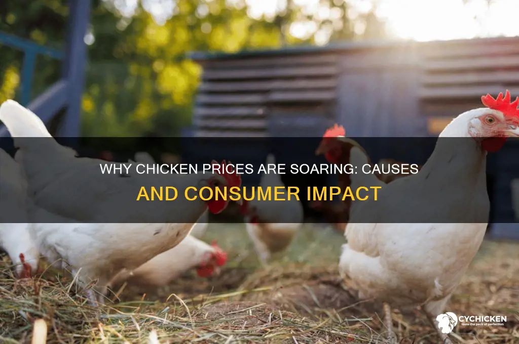 why did the price of chicken go up