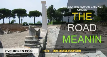 The Roman Chicken's Road Crossing Mystery Explained