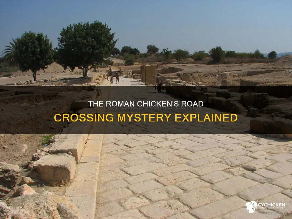 why did the roman chicken cross the road meaning