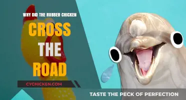 Why Rubber Chickens Cross Roads: Unraveling the Hilarious Mystery