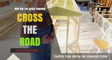 Why the Space Chicken Crossed the Road: A Cosmic Mystery