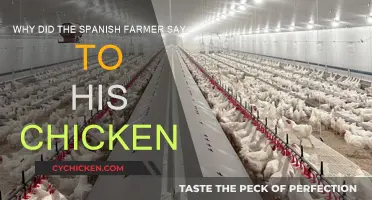 Spanish Farmer's Chicken: A Funny Tale