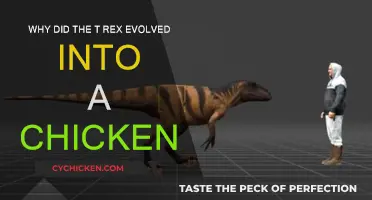 The T-Rex's Evolution: Ancient Monster to Modern-Day Chicken