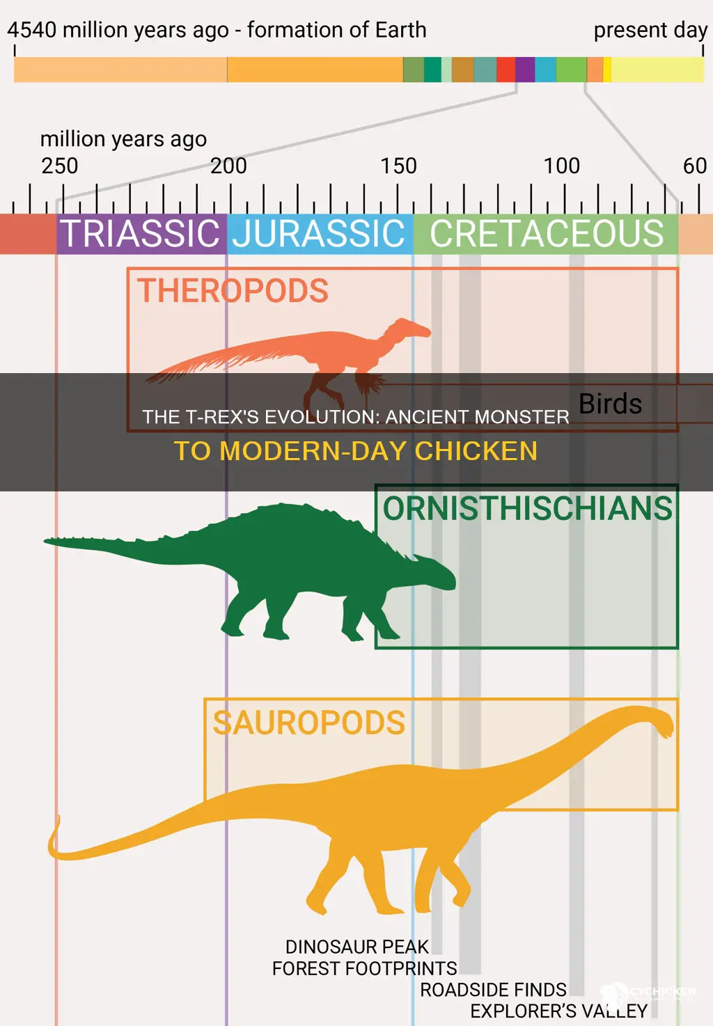 why did the t rex evolved into a chicken