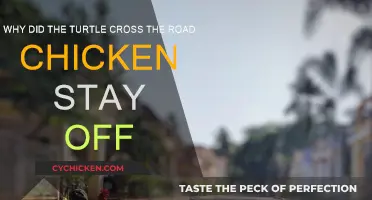Turtles Crossing Roads, Chickens Avoiding Them: Why?