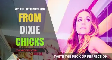 Dixie Chicks Rebrand: Why the Name Change and Dixie's Removal