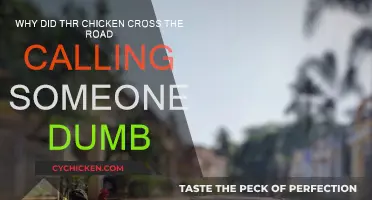 Chicken's Road Trip: Dumb or Daring?