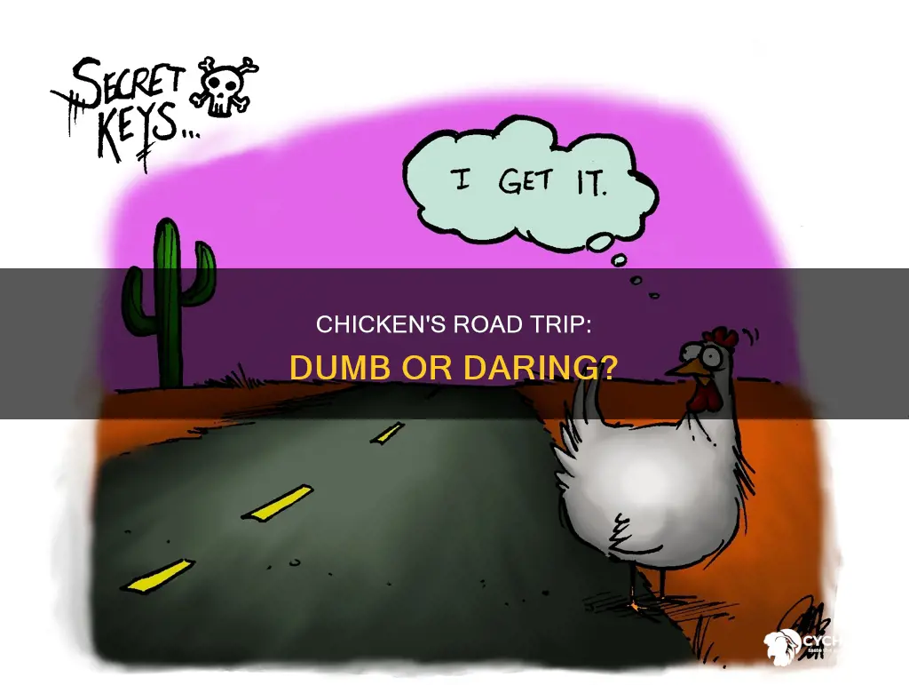 why did thr chicken cross the road calling someone dumb
