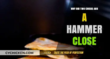 Two Chicks and a Hammer: The Sudden Closure Explained